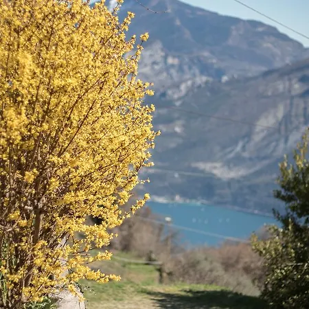 B&B Pregasina