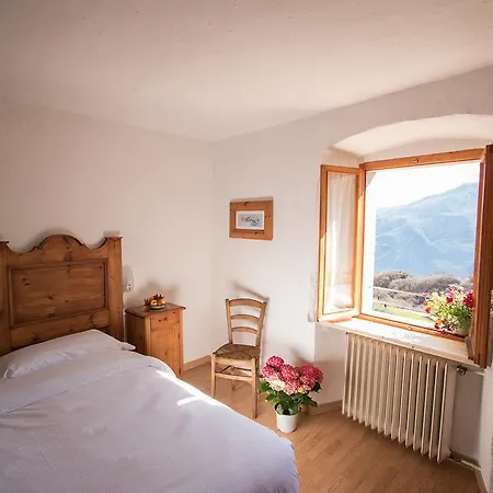 B&B Pregasina *