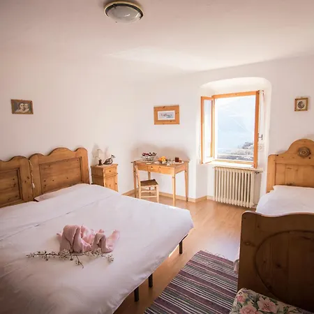 B&B Pregasina