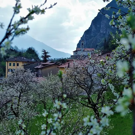 B&B Pregasina