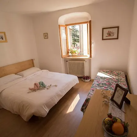 B&B Pregasina