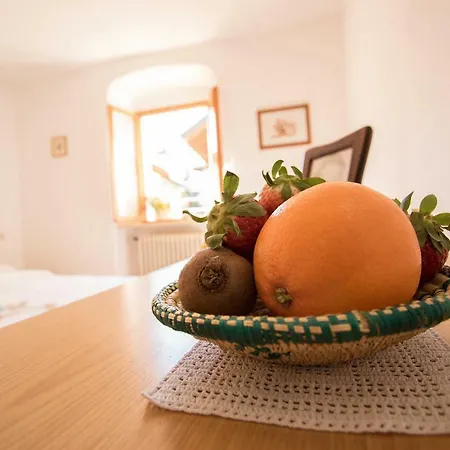 B&B Pregasina *